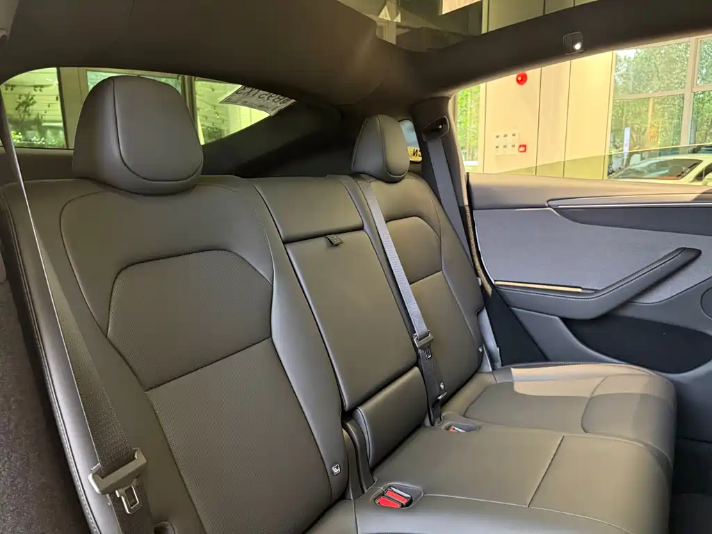 Tesla Model Y — миниатюра 12