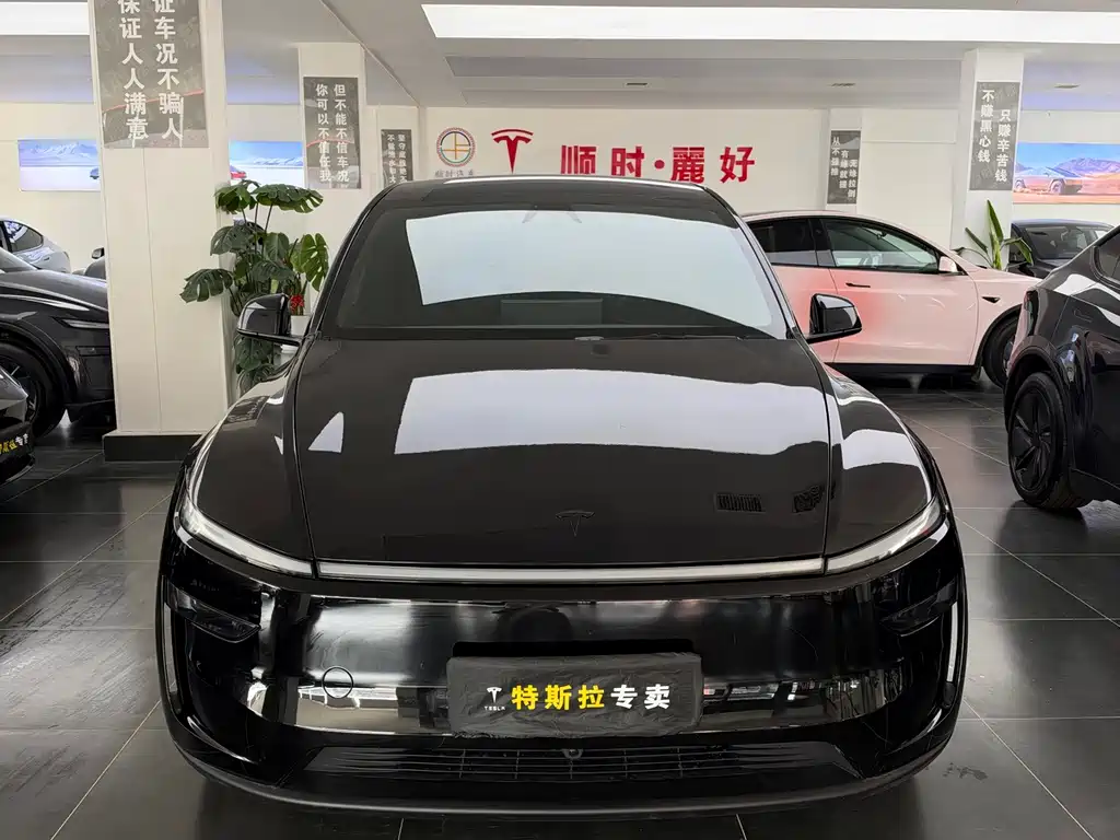 Tesla Model Y L — миниатюра 2