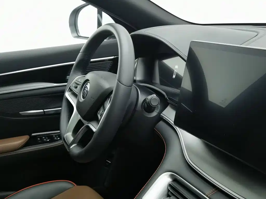 BYD PLUS — миниатюра 22