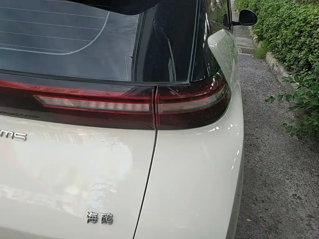 BYD Seagull