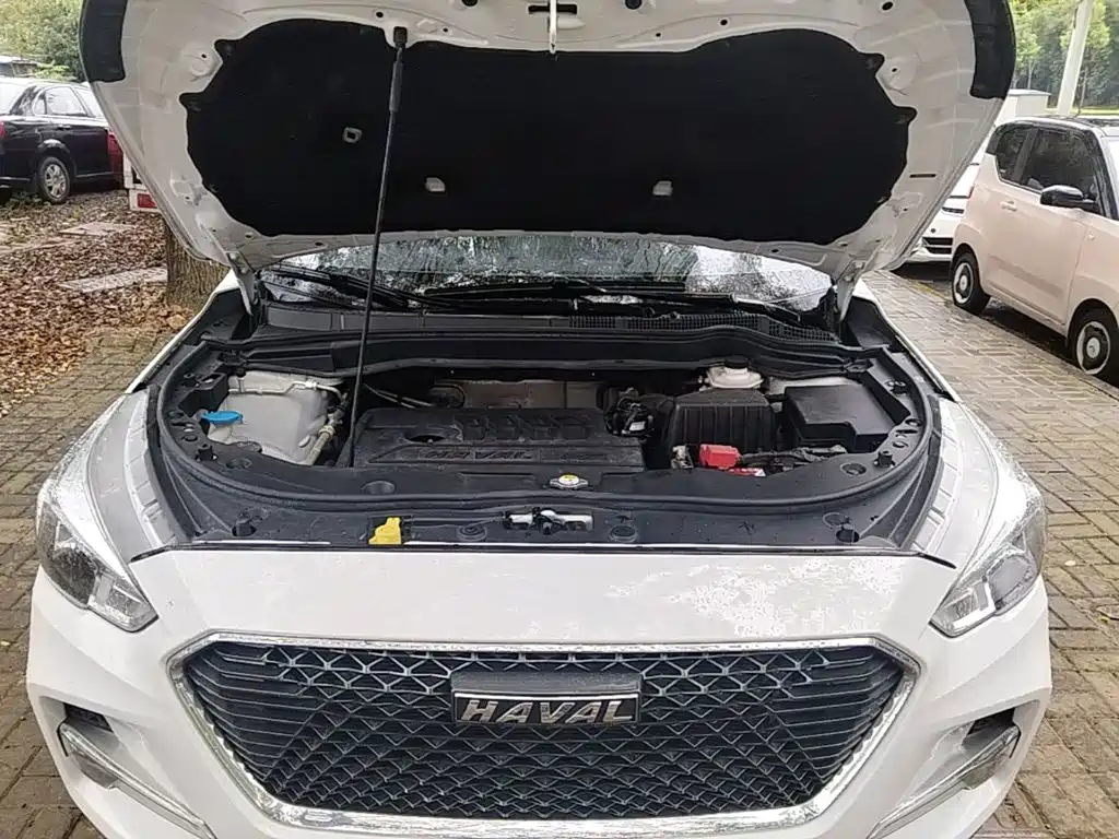Haval M6 — миниатюра 20