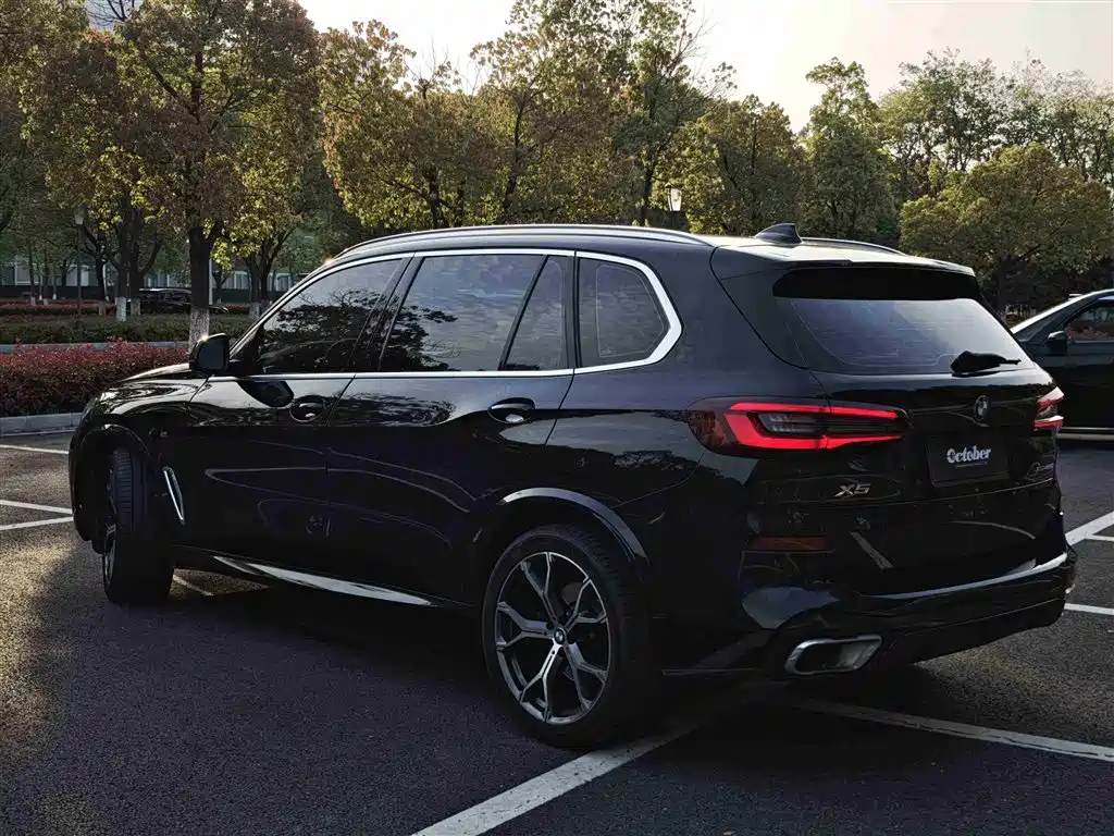 BMW X5 2022 xDrive 40Li M Sport