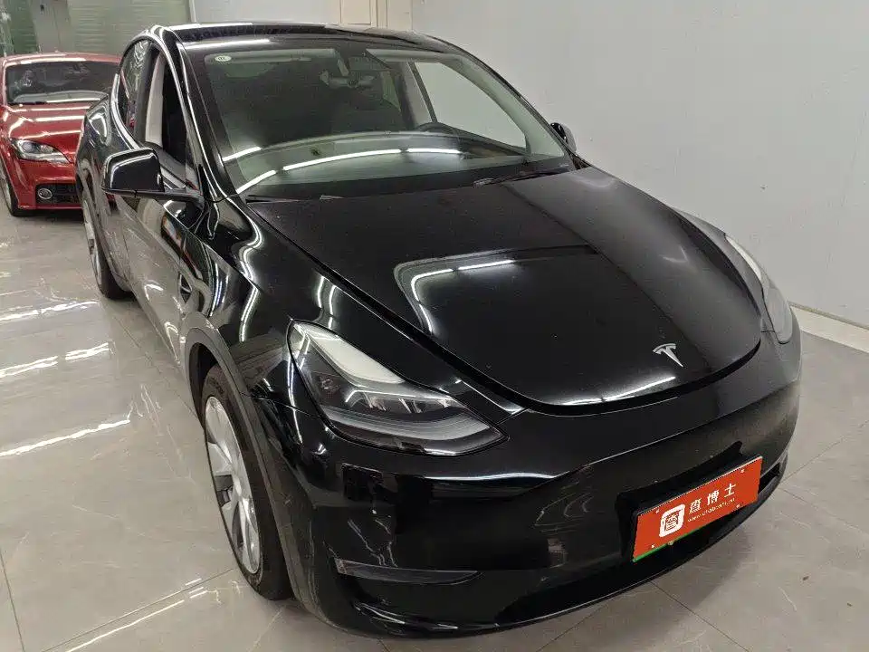 Tesla Model Y — миниатюра 2