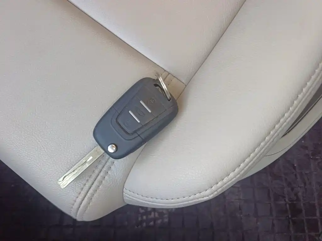 MAXUS V80 — миниатюра 9
