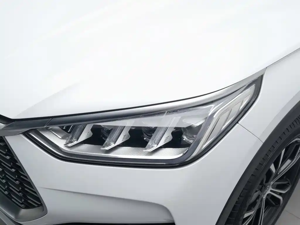 BYD PLUS — миниатюра 7