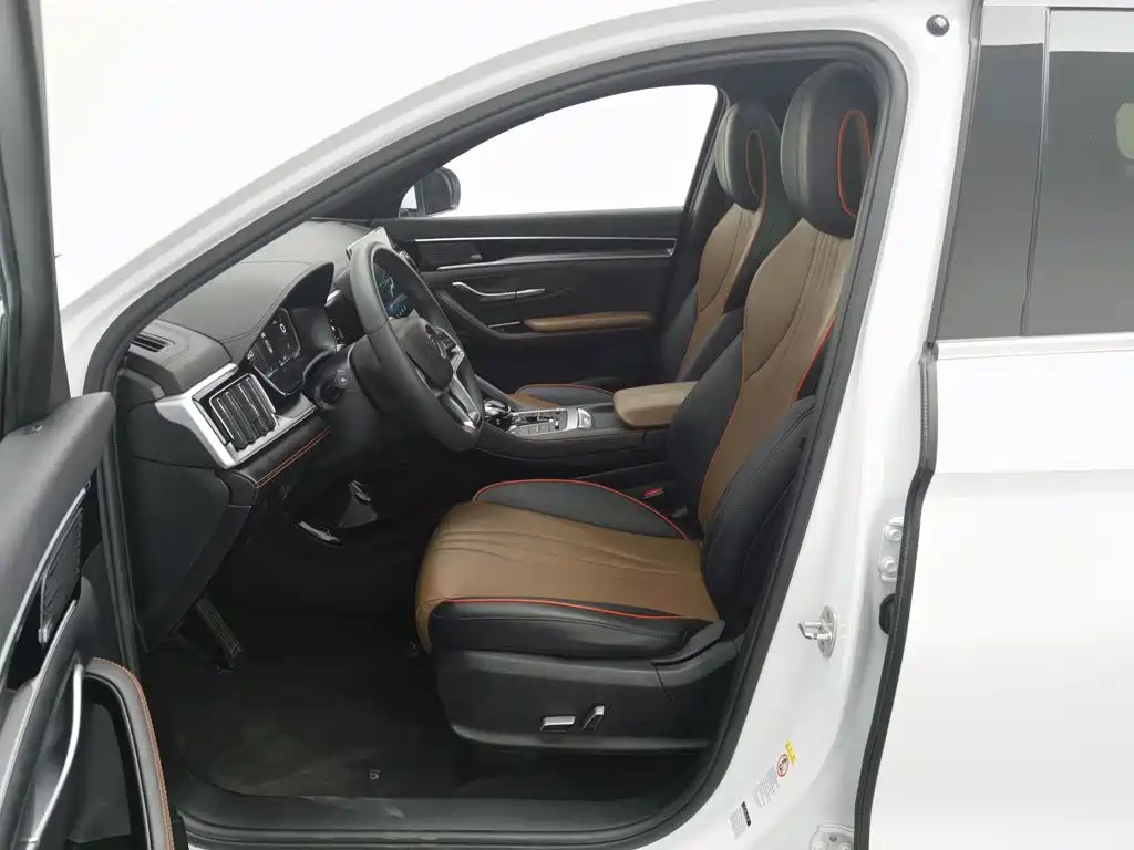 BYD PLUS — миниатюра 10