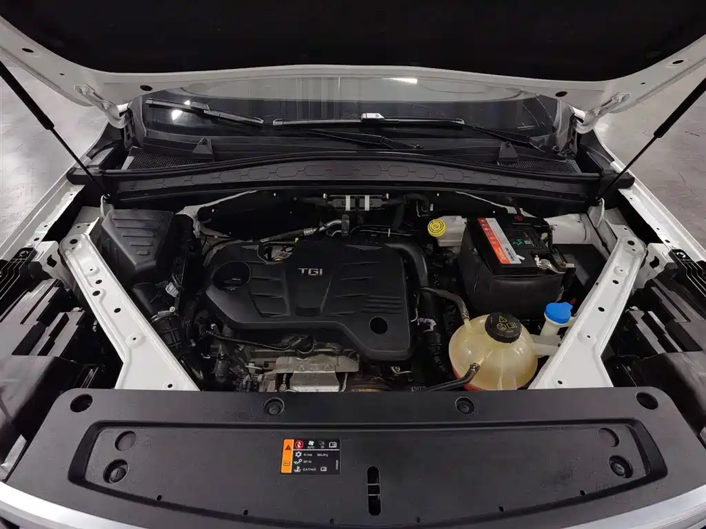 Roewe RX5 Max 2019 300TGI AT Luxury