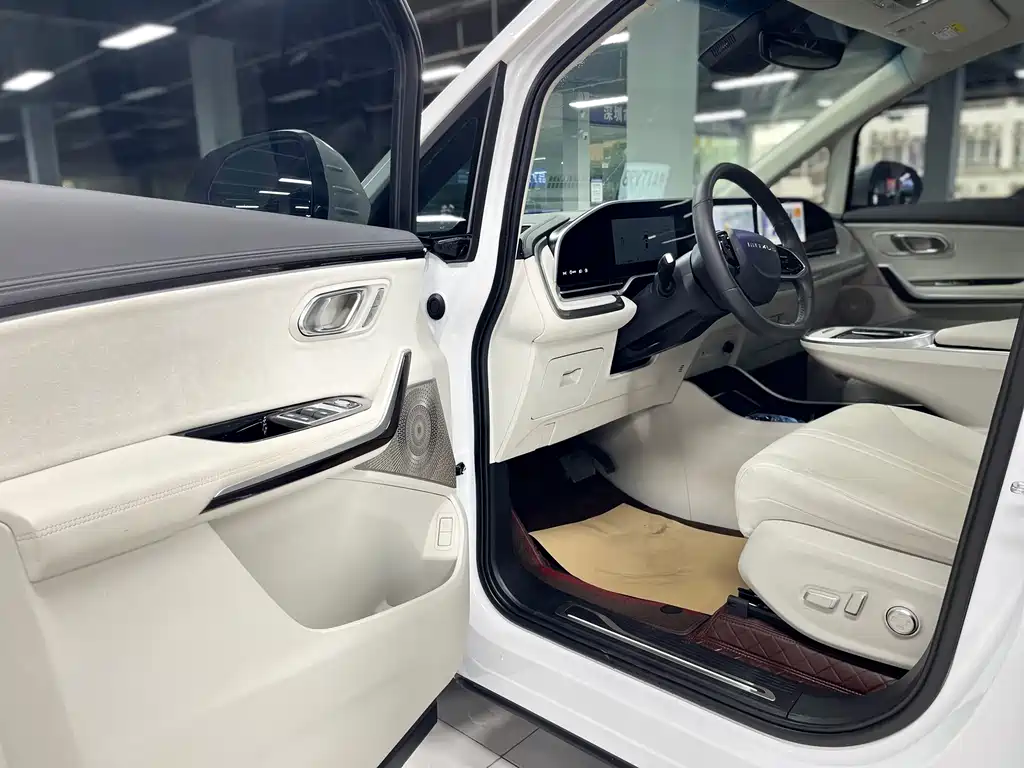 Maxus Dajia 9 — миниатюра 4