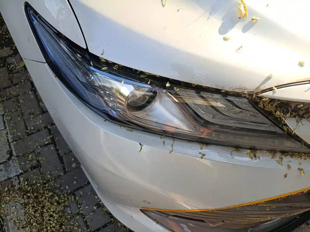 Toyota Camry — миниатюра 7