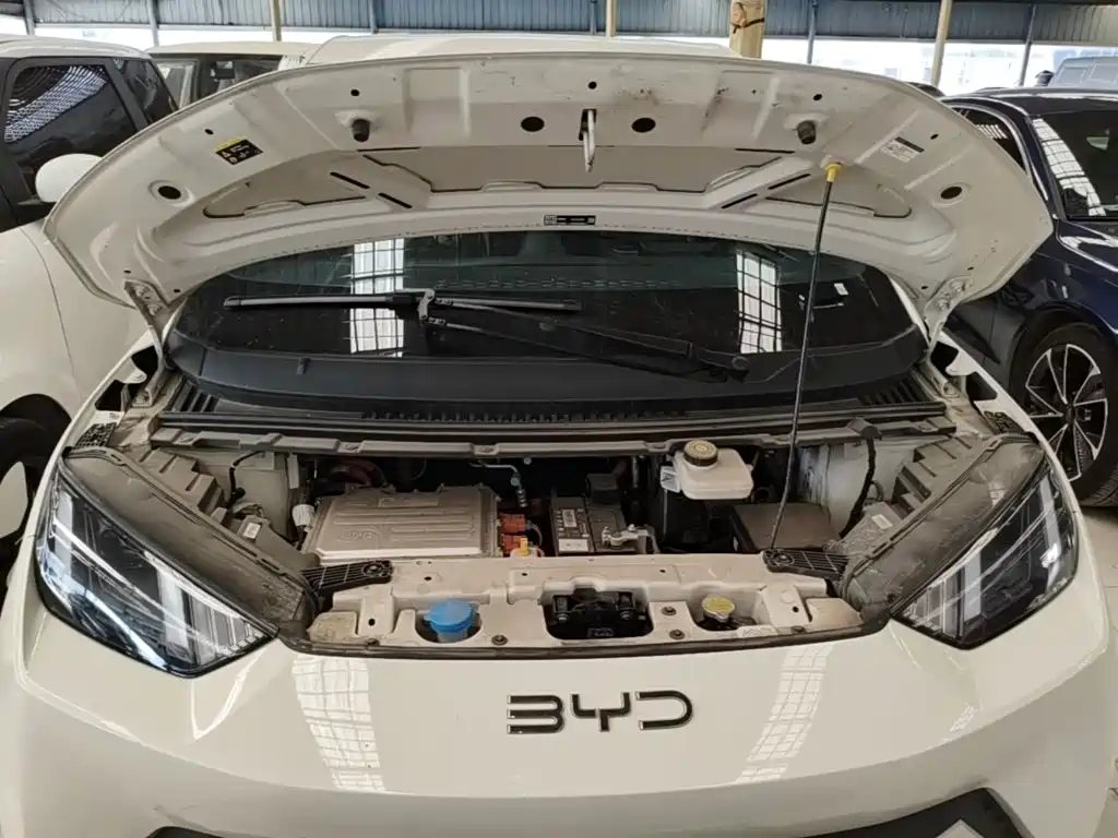 BYD Seagull — миниатюра 20