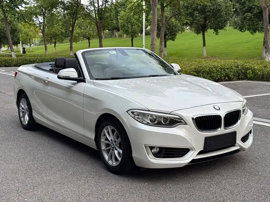 BMW 2 Series (Import)