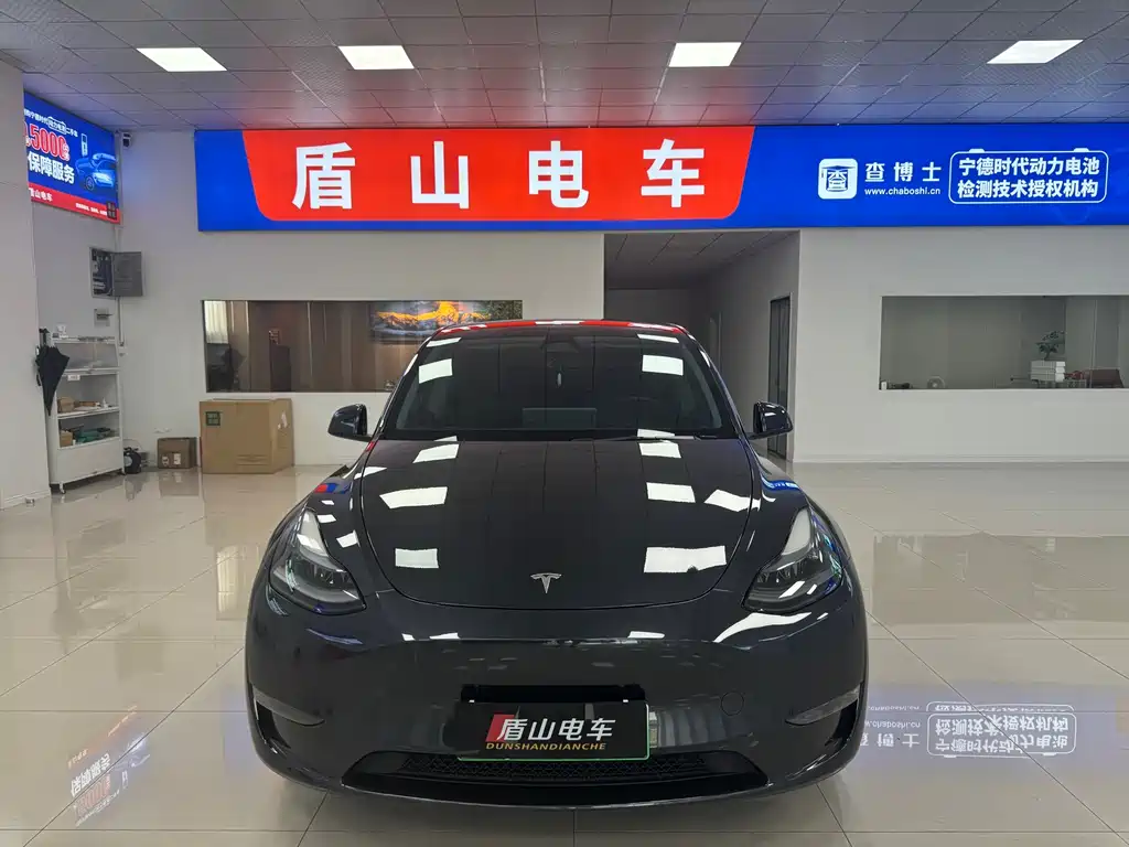 Tesla Model Y — миниатюра 2