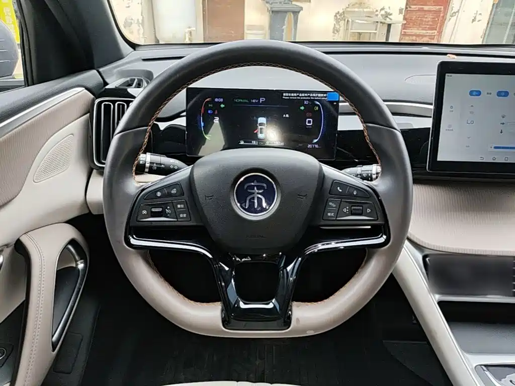 BYD Pro New Energy — миниатюра 11