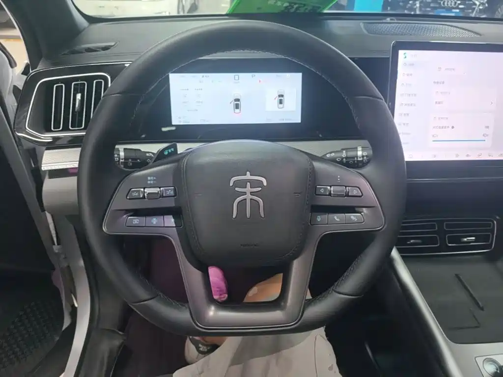 BYD Pro New Energy — миниатюра 11