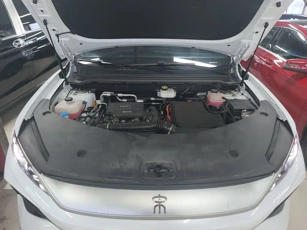 BYD Pro New Energy — миниатюра 20