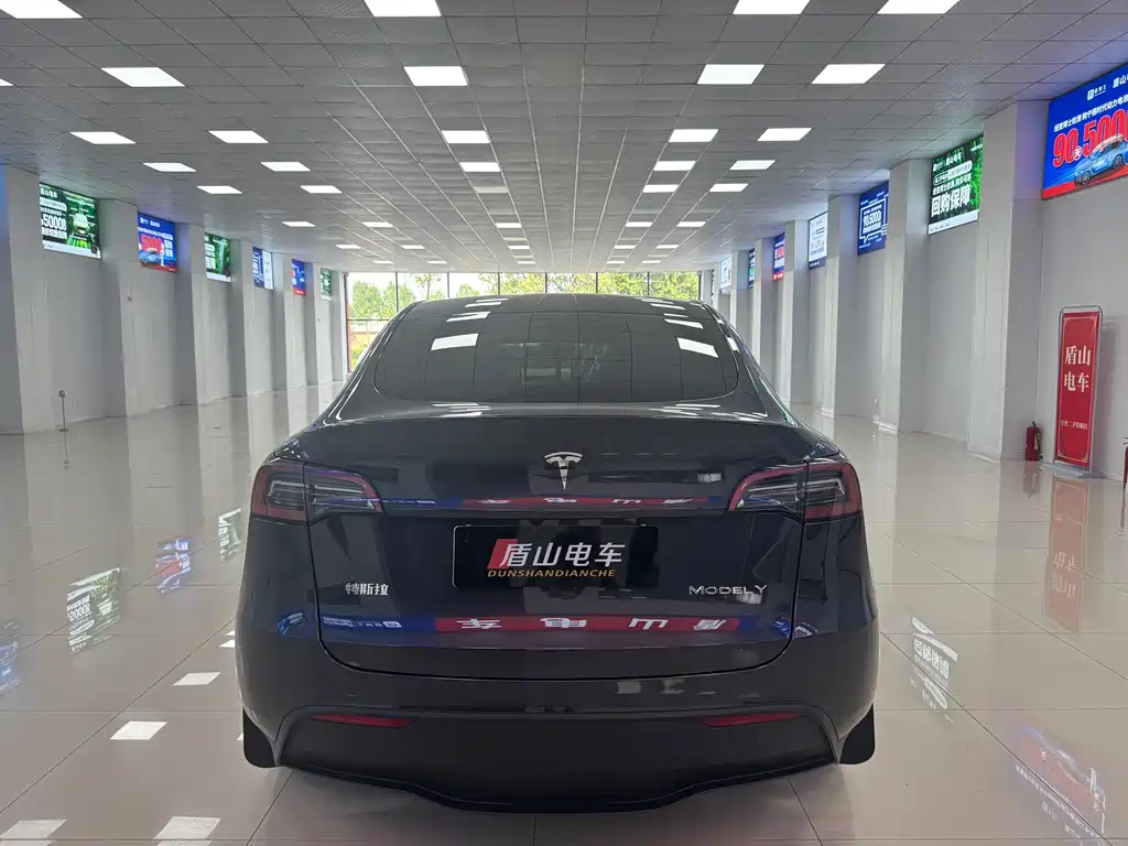 Tesla Model Y — миниатюра 5