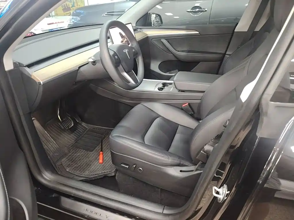 Tesla Model Y — миниатюра 15
