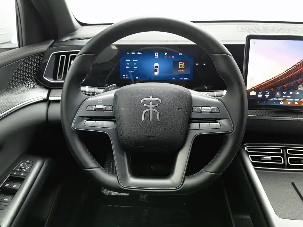 BYD Pro New Energy — миниатюра 11