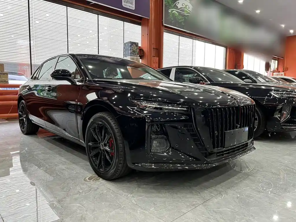 Hongqi Hongqi H5 — миниатюра 7