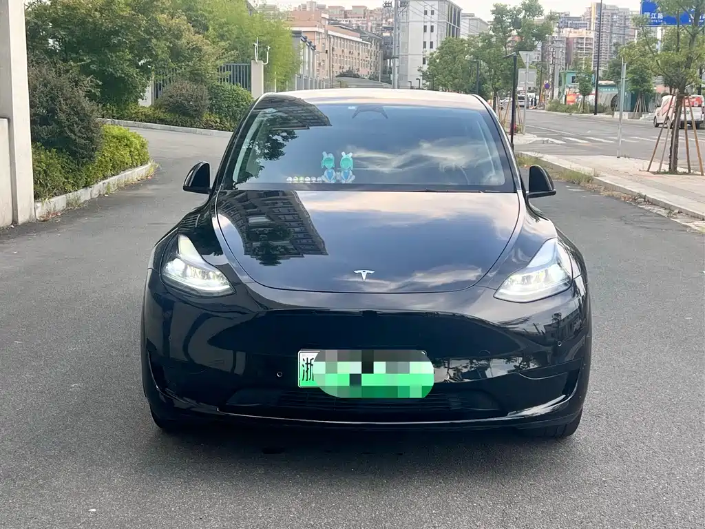 Tesla Model Y — миниатюра 2