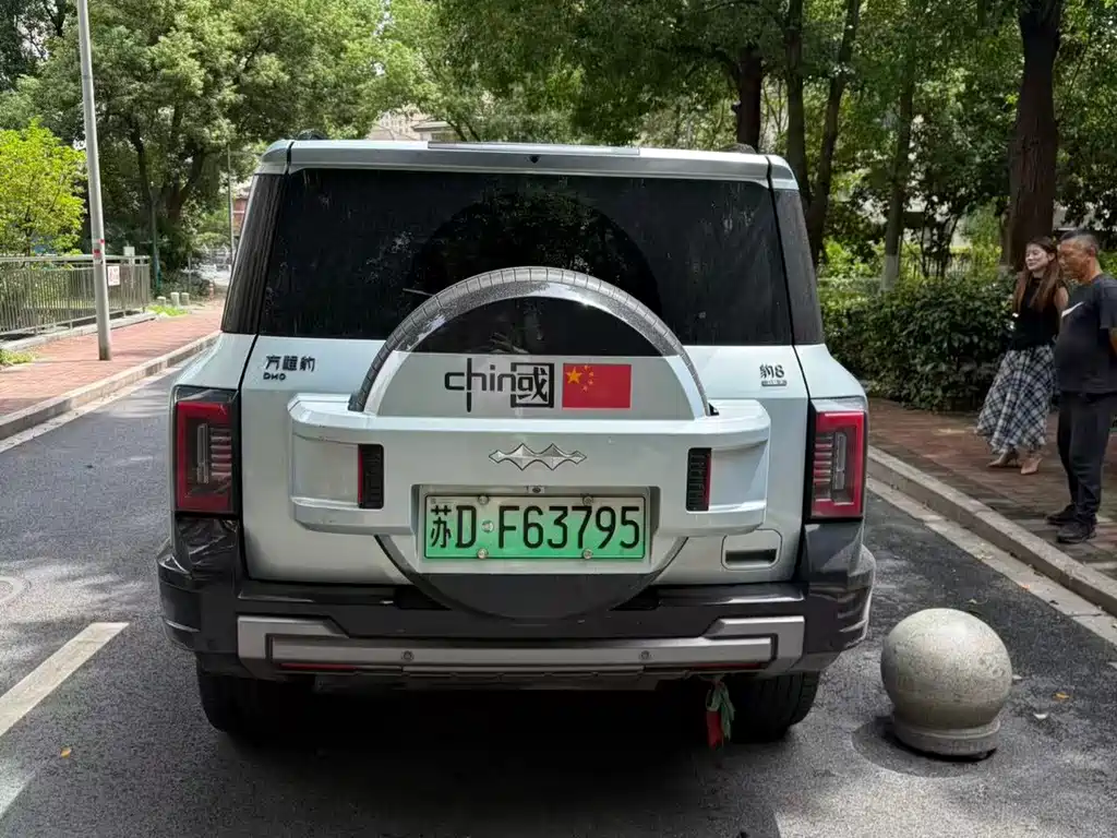 Fang Cheng Bao Leopard 8 — миниатюра 5