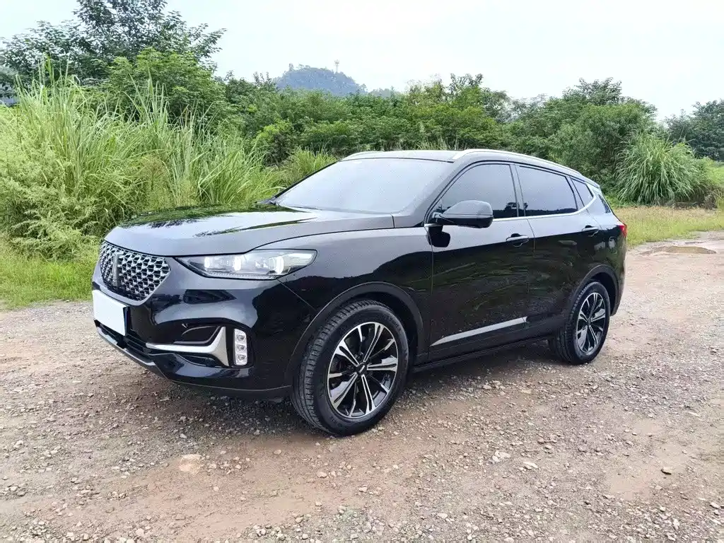 Wey Wey VV6