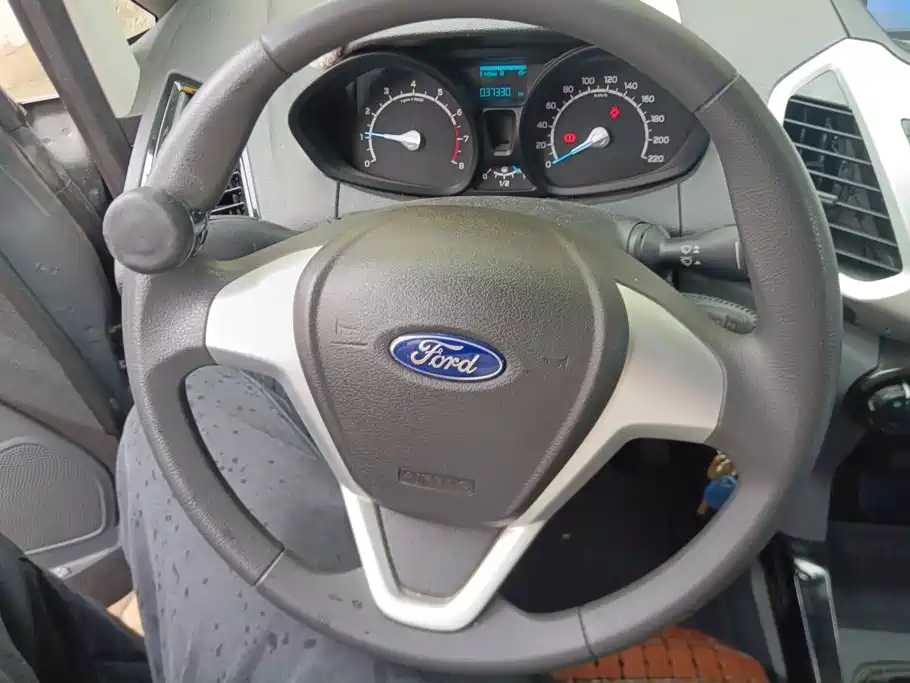 Ford Ecosport — миниатюра 15