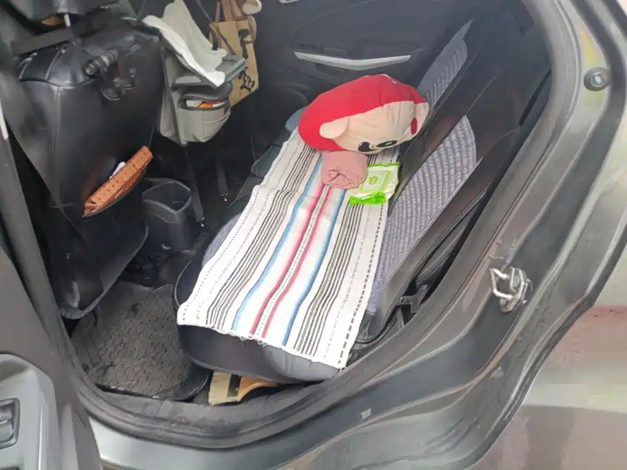 Ford Ecosport — миниатюра 11