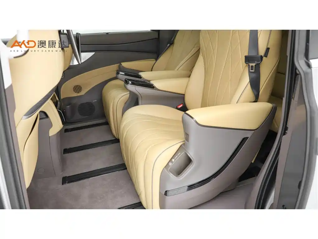Denza Denza D9 — миниатюра 7