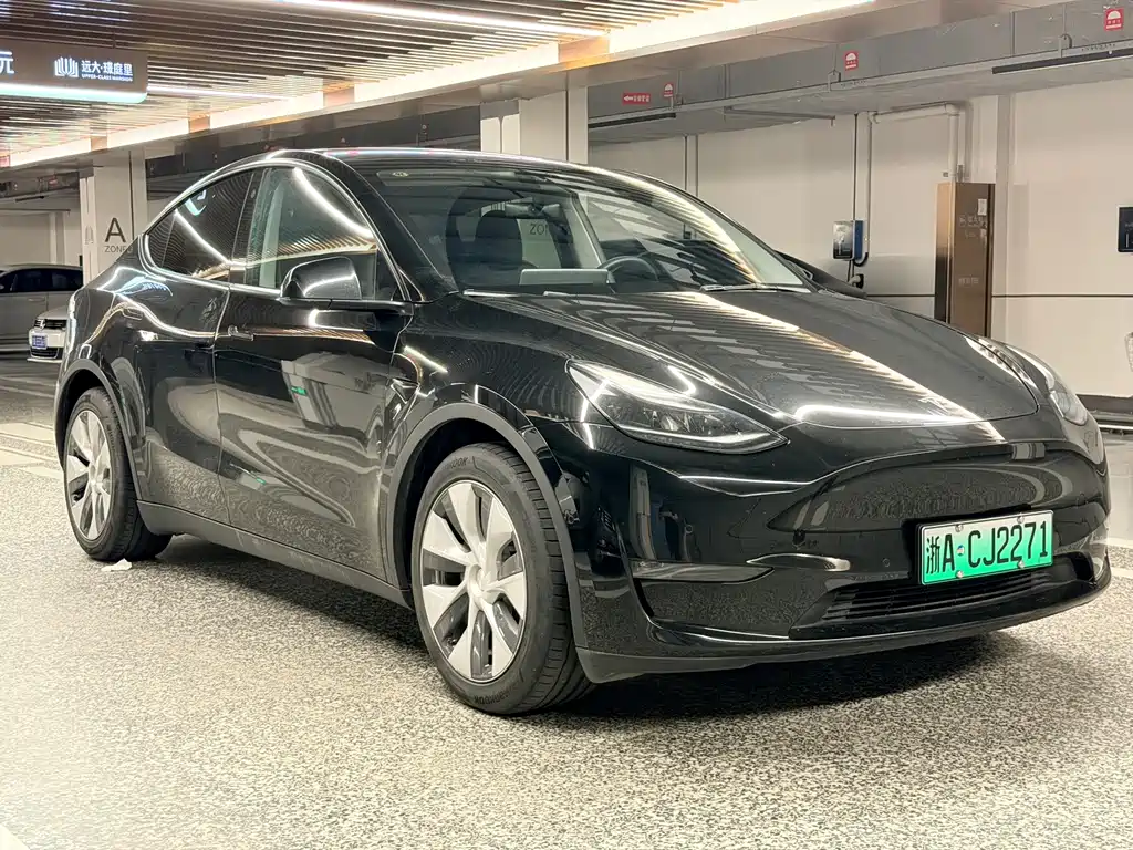 Tesla Model Y — миниатюра 3