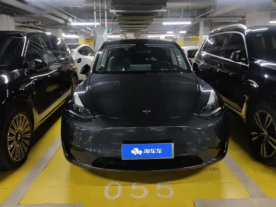 Tesla Model Y — миниатюра 2