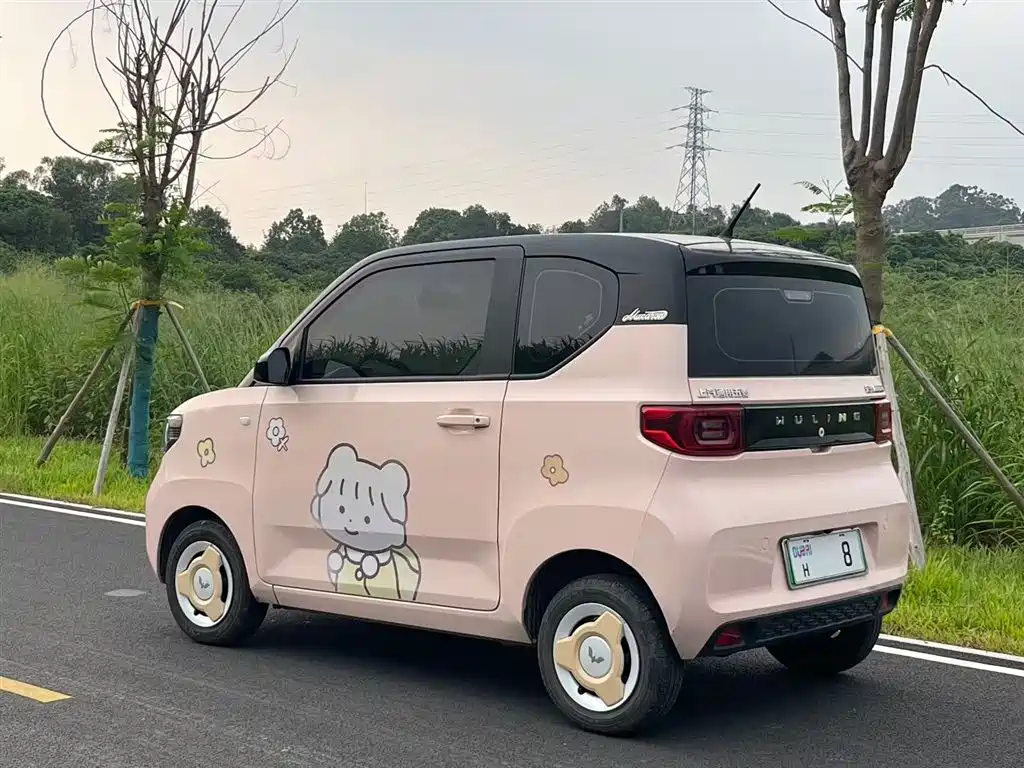 Wuling Mini EV MINIEV 2022 Enjoy
