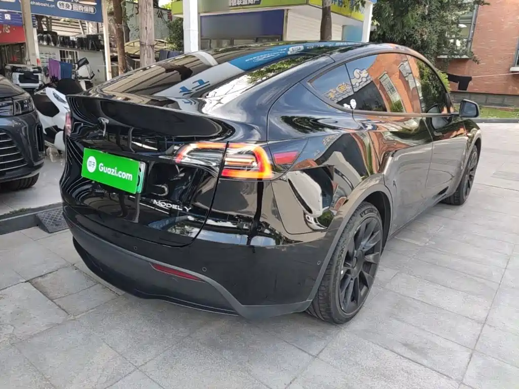 Tesla Model Y — миниатюра 7