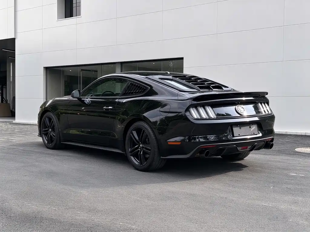 Ford Mustang — миниатюра 12