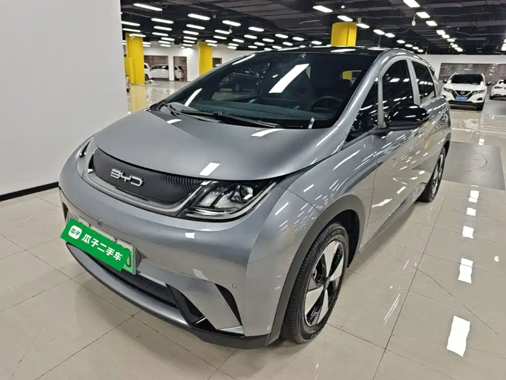 BYD Dolphin — миниатюра 2