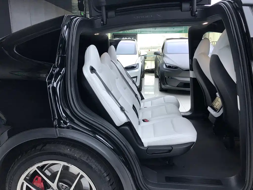 Tesla Model X — миниатюра 14
