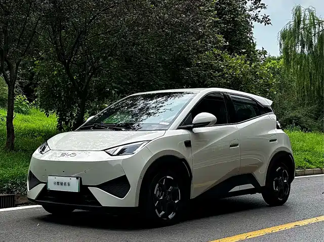 2025 BYD Seagull