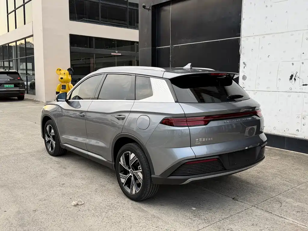 BYD Pro New Energy — миниатюра 14