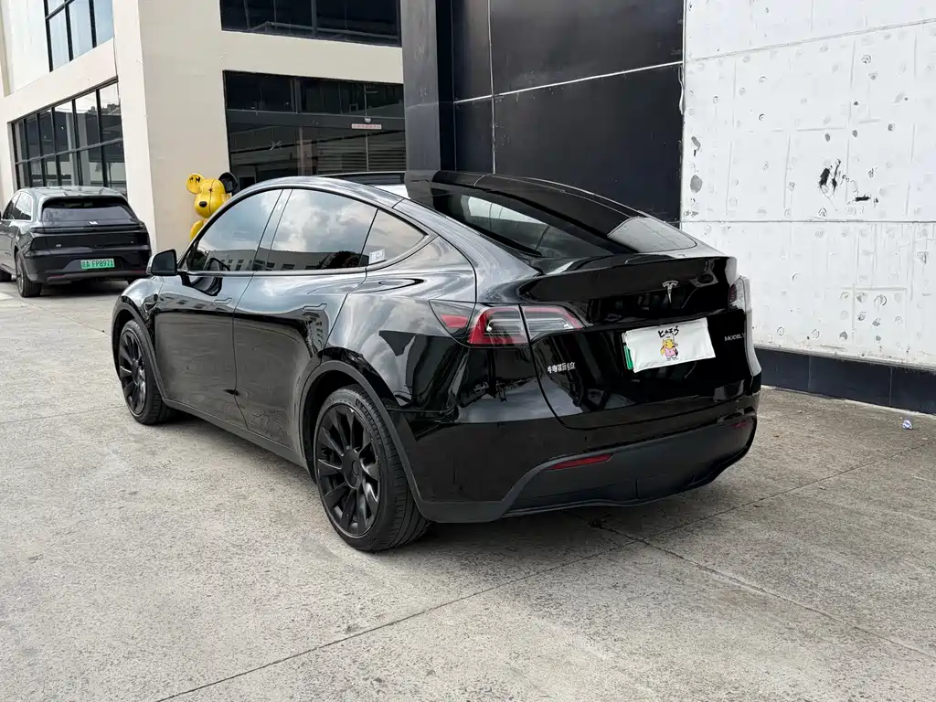 Tesla Model Y — миниатюра 13