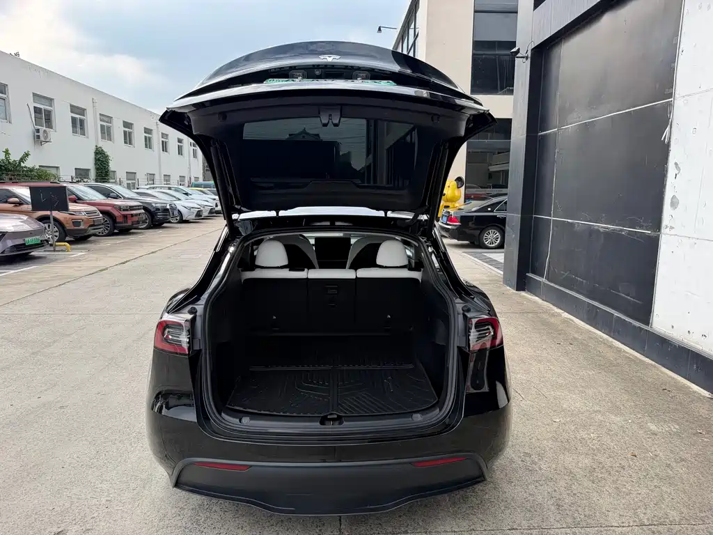 Tesla Model Y — миниатюра 16