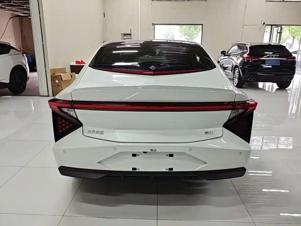 Lingxi Lingxi L — миниатюра 6