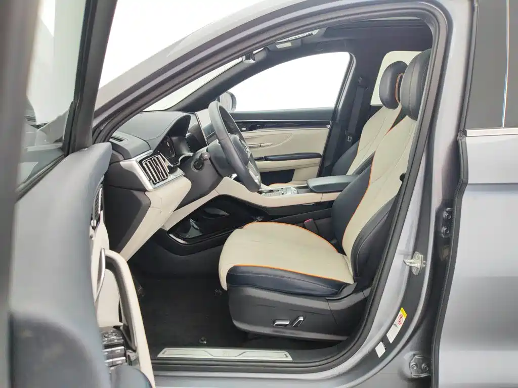 BYD Song Plus PLUS 2021 EV Flagship