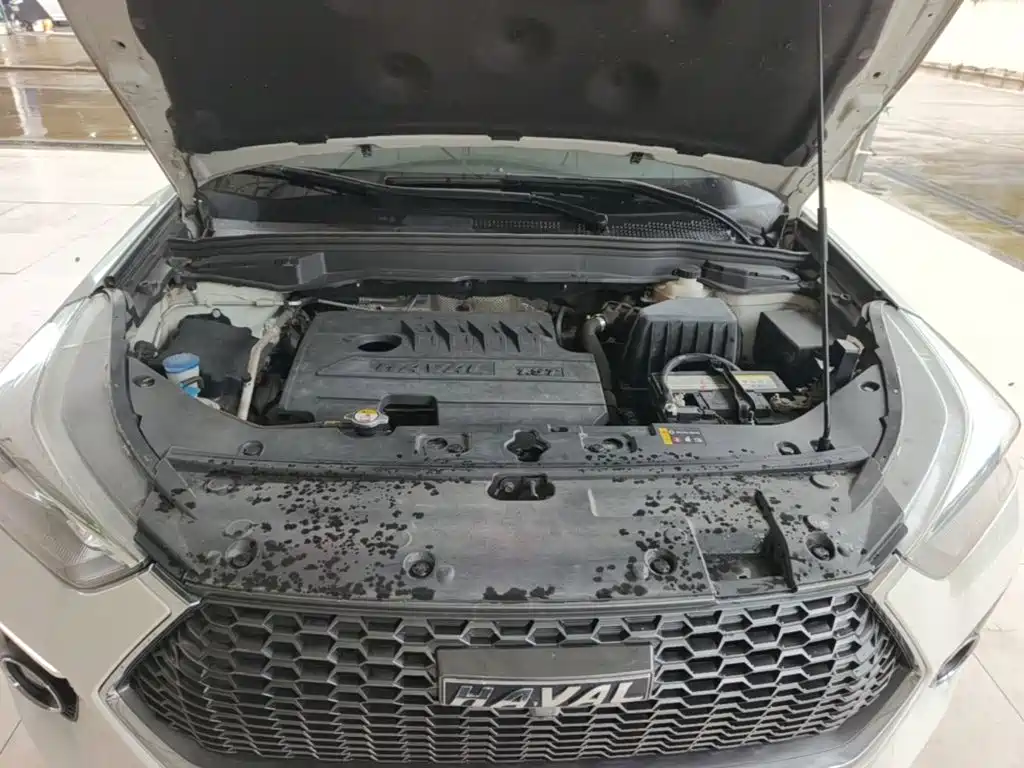Haval H6 Coupe — миниатюра 20