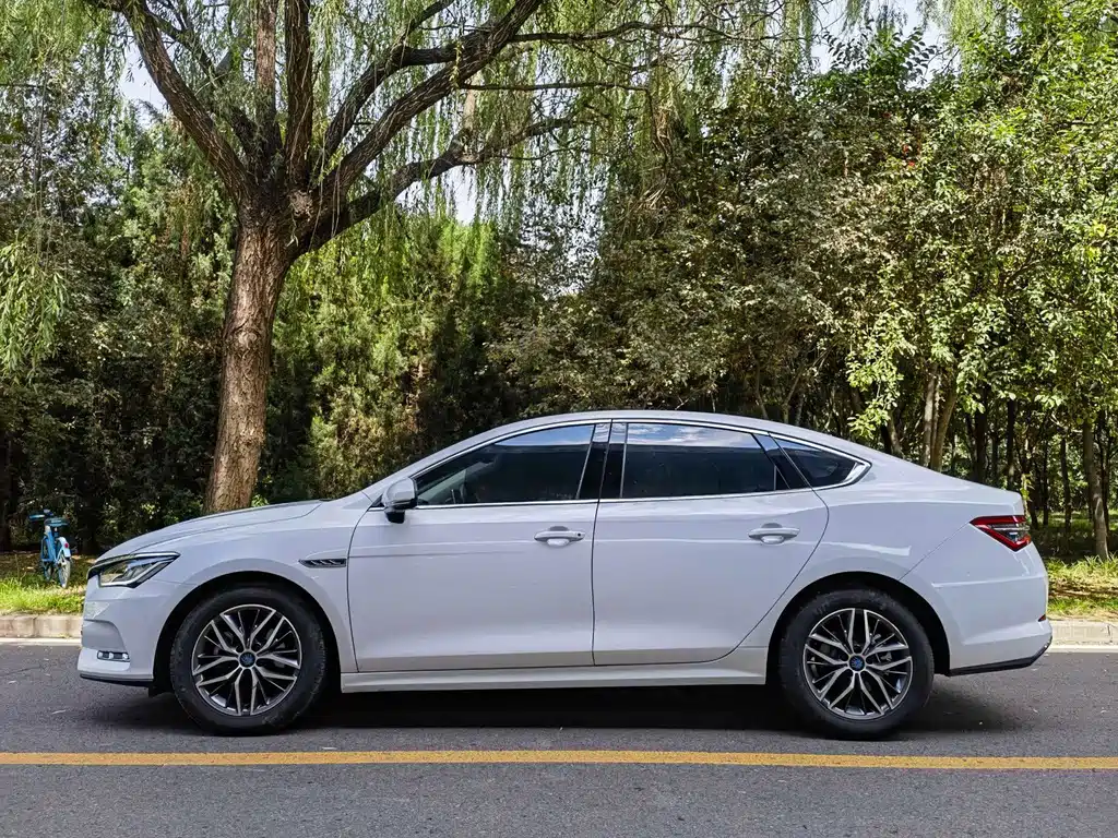 BYD Qin Pro NEV — миниатюра 3
