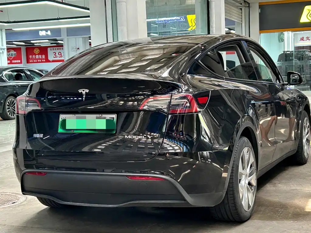 Tesla Model Y — миниатюра 4