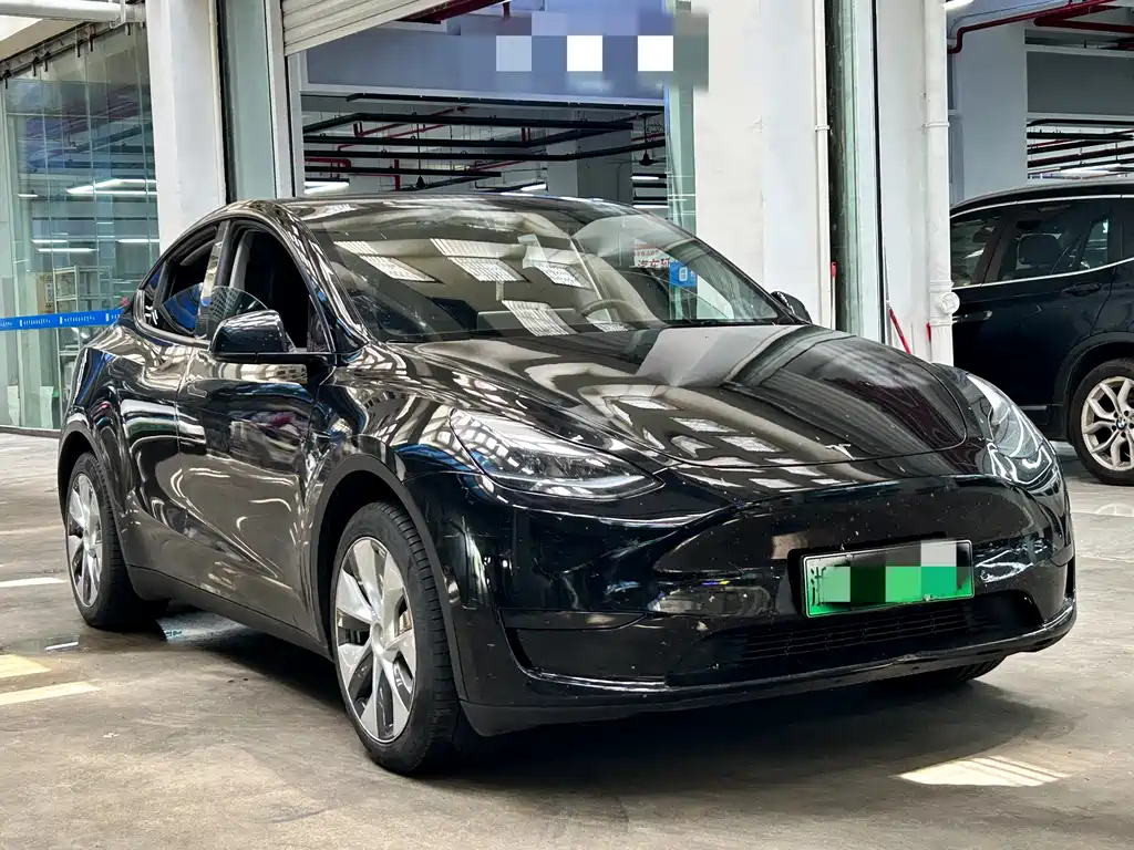 Tesla Model Y — миниатюра 3