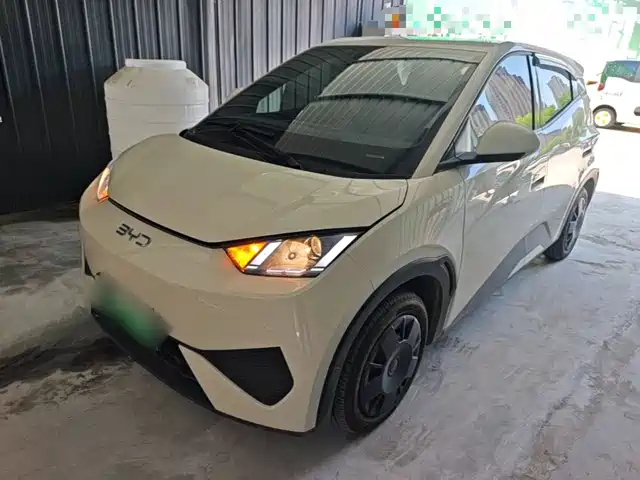 2025 BYD Seagull