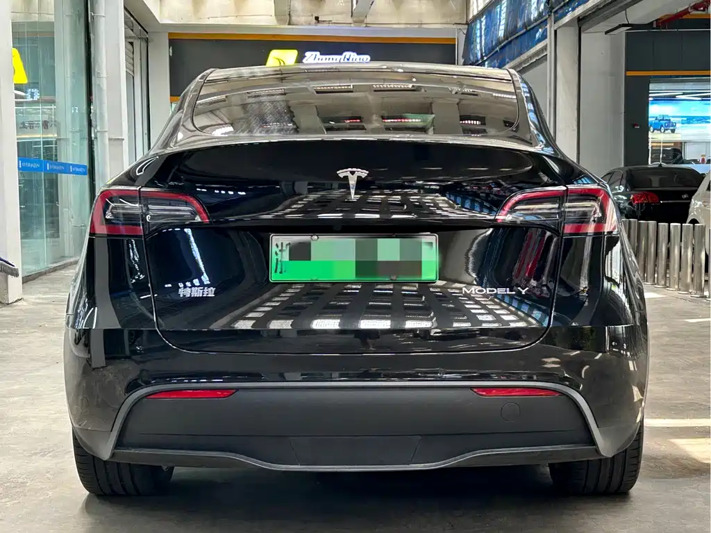 Tesla Model Y — миниатюра 5