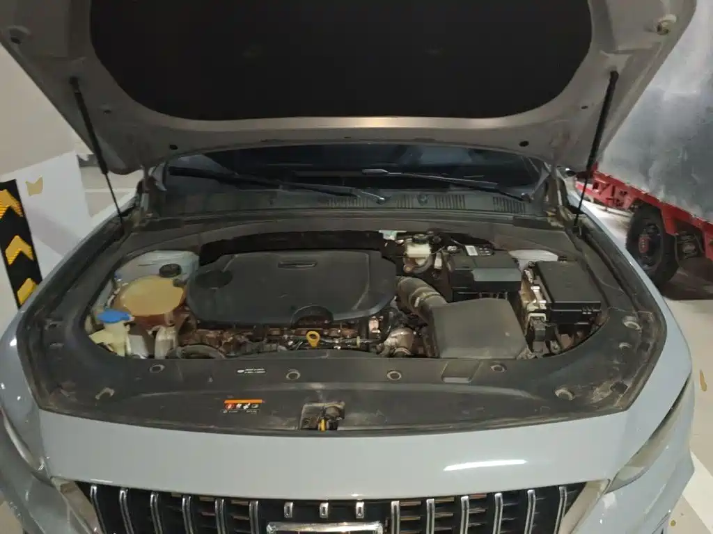 Geely Xingrui — миниатюра 21