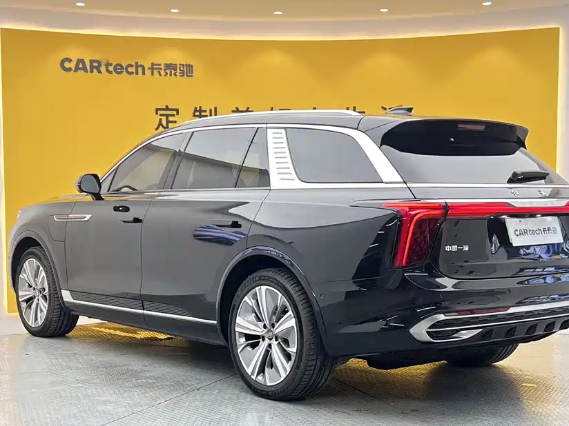 Hongqi Hongqi E-HS9 — миниатюра 6